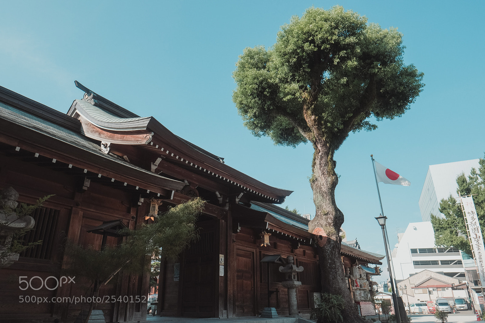 Fujifilm X-Pro2 sample photo. 구시다시다  kushida shrine photography