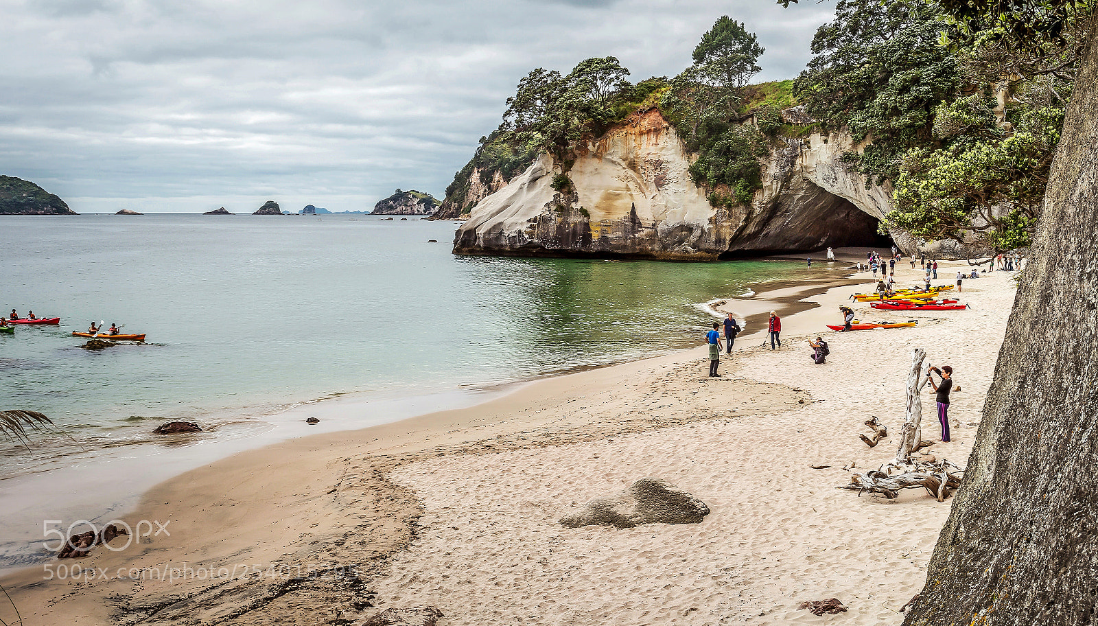 Canon EOS 6D sample photo. Cathedral cove photography
