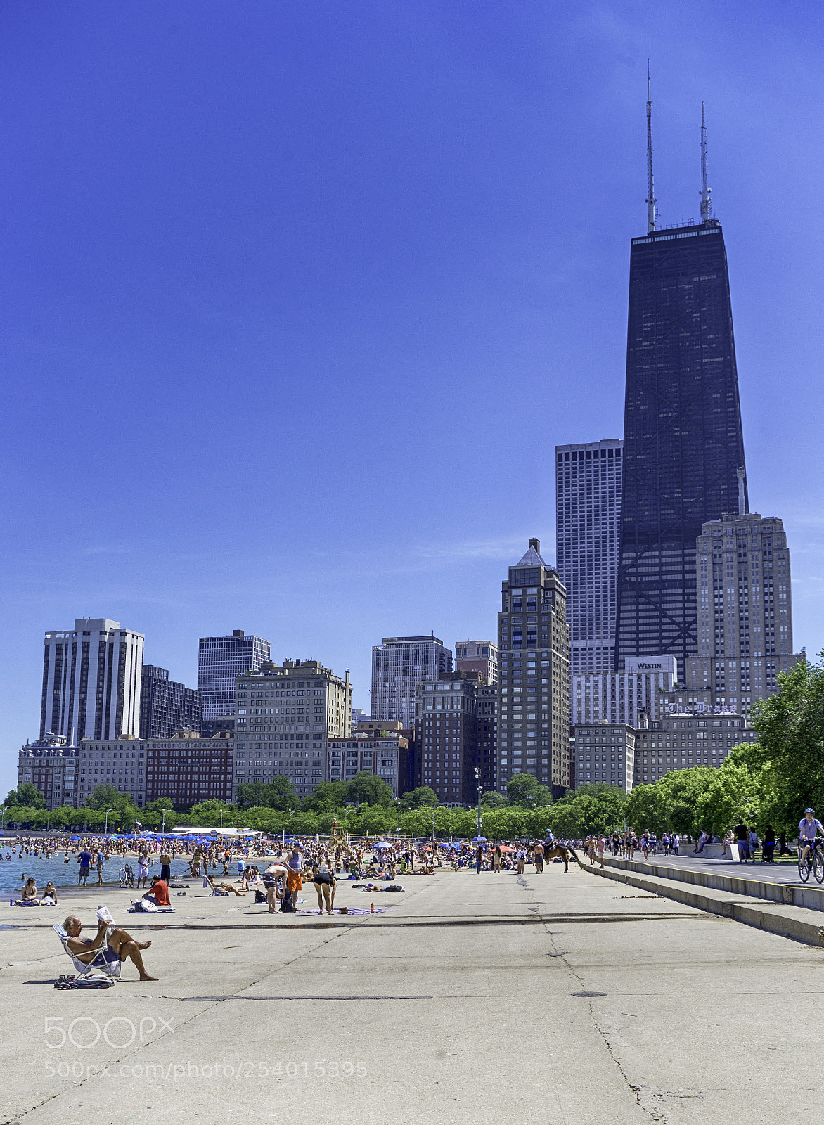 Nikon D610 sample photo. Chicago photography