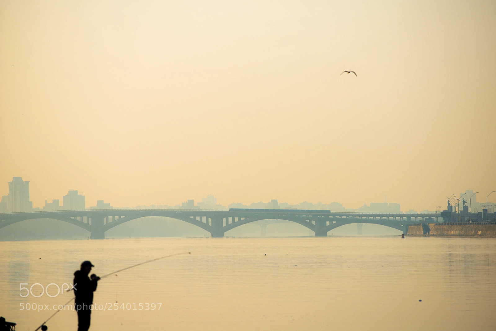 Nikon D800 sample photo. Sunrice fishing at the photography