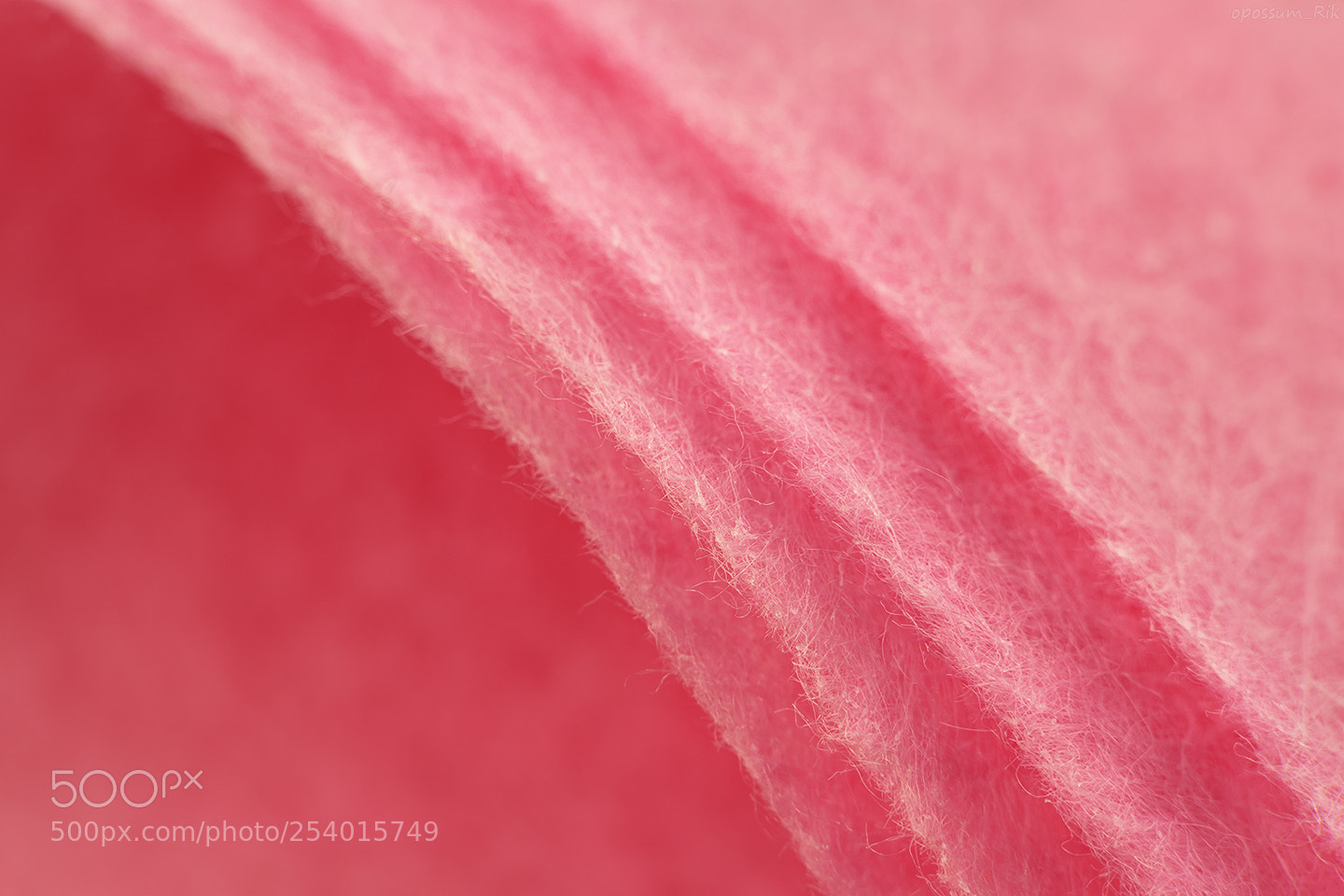 Panasonic Lumix DMC-FZ1000 sample photo. Pink fiber texture photography