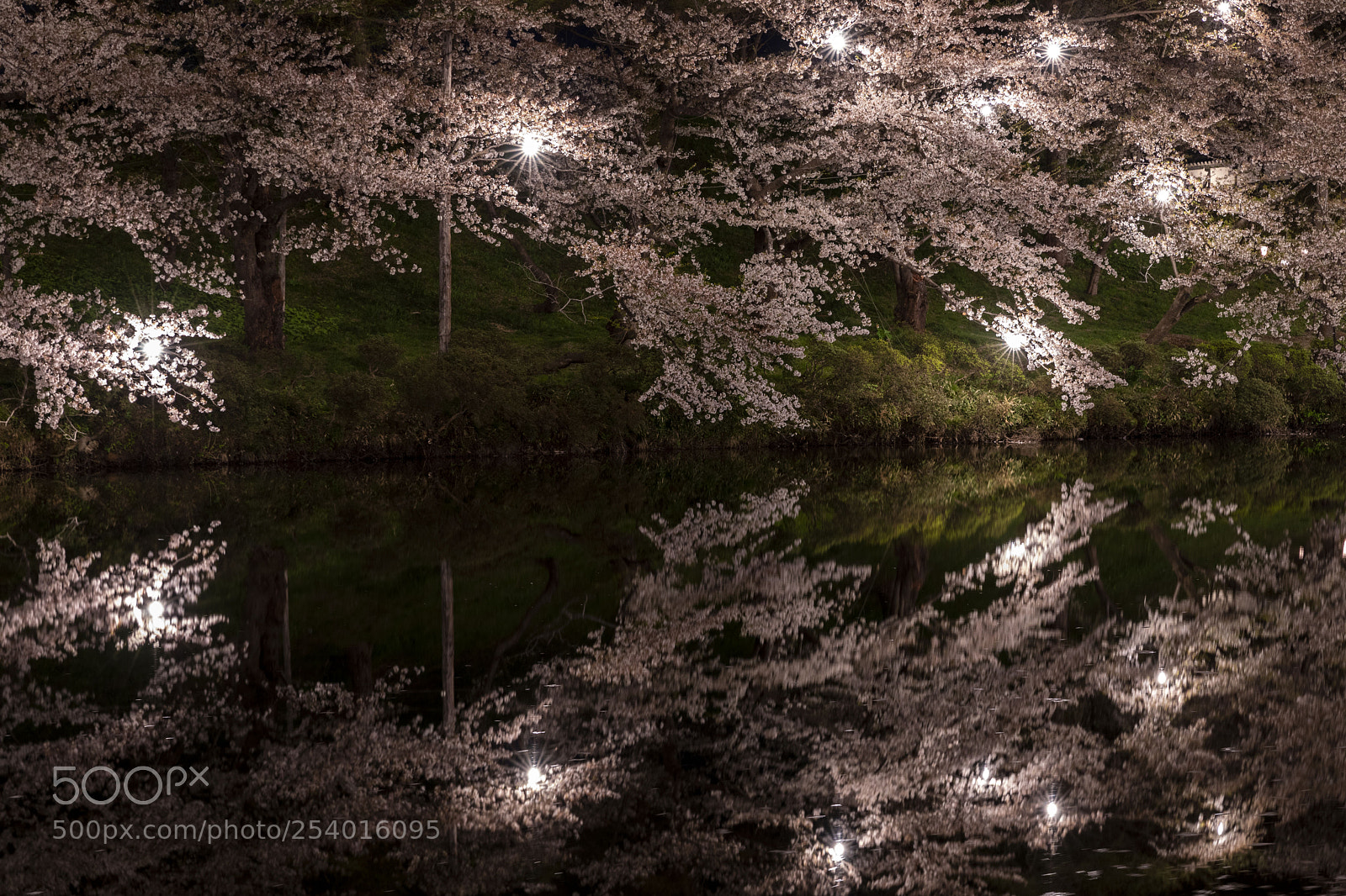 Canon EOS 5D Mark IV sample photo. Night reflection photography
