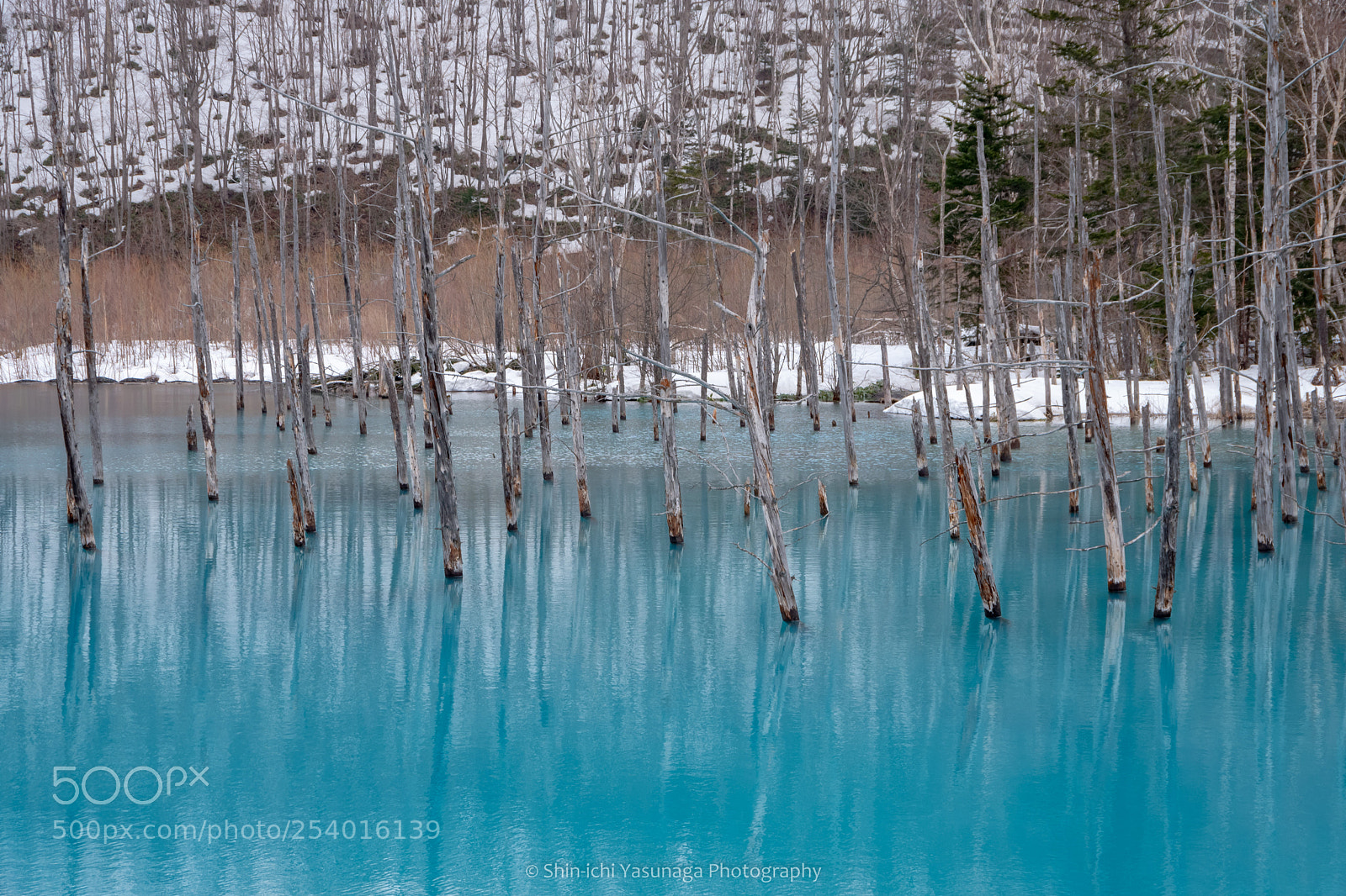 Pentax K-70 sample photo. Blue pond photography