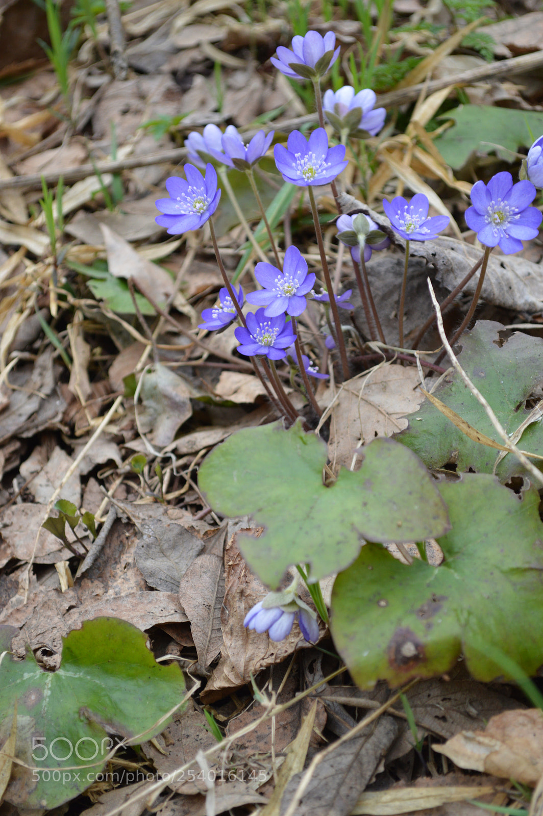 Nikon D3200 sample photo. Dsc photography