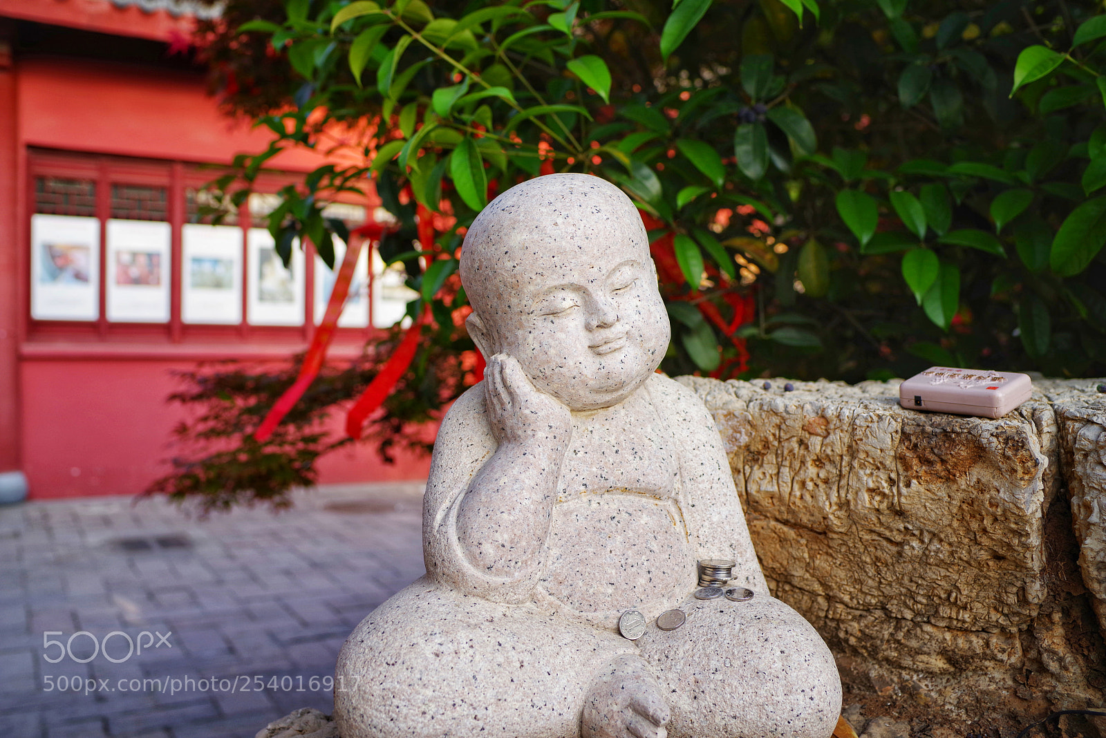 Pentax K-1 sample photo. Untitled photography