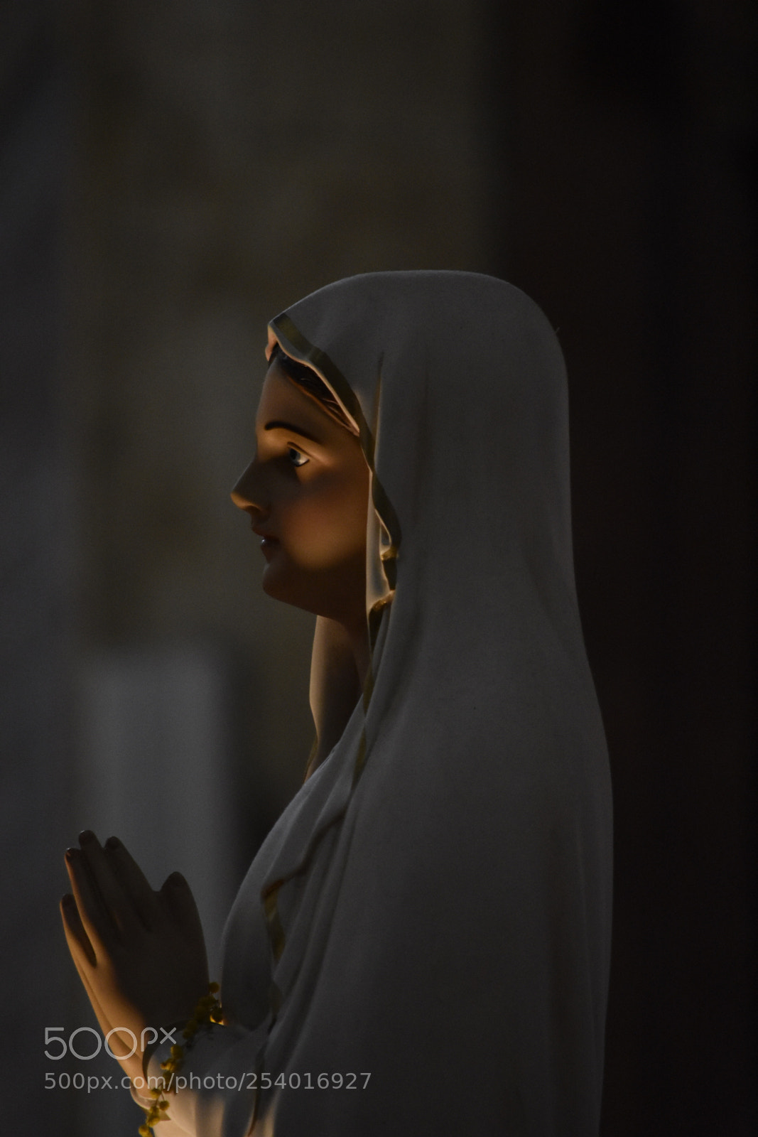 Nikon D3400 sample photo. Blessed virgin  photography