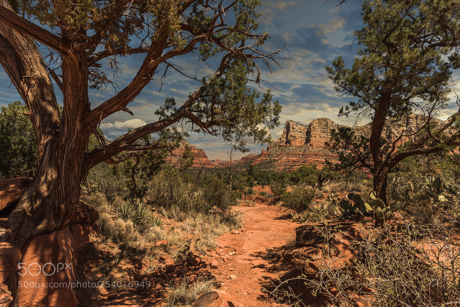 Nikon D810 sample photo. Sedona photography