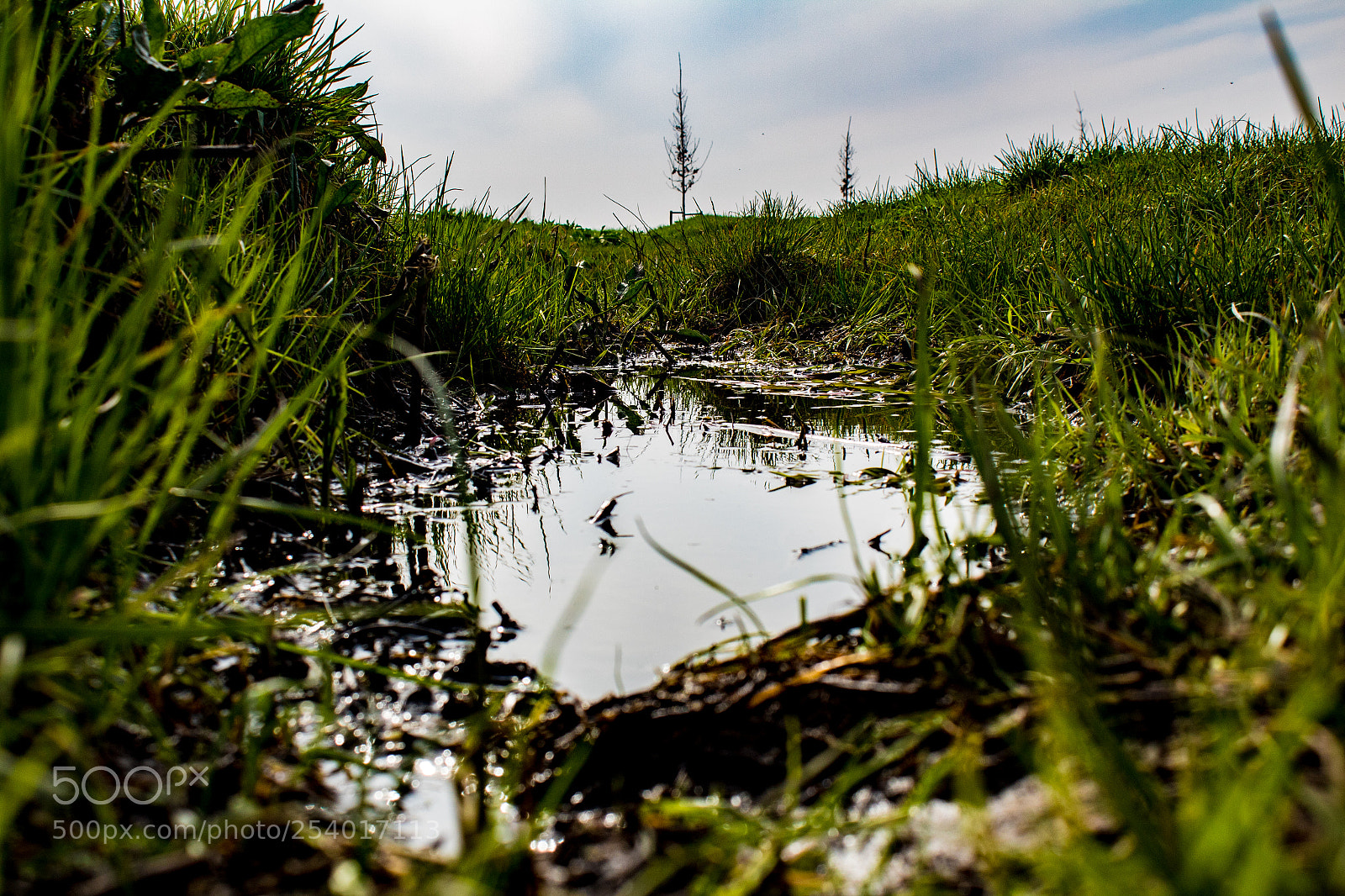 Canon EOS 1300D (EOS Rebel T6 / EOS Kiss X80) sample photo. Puddle photography