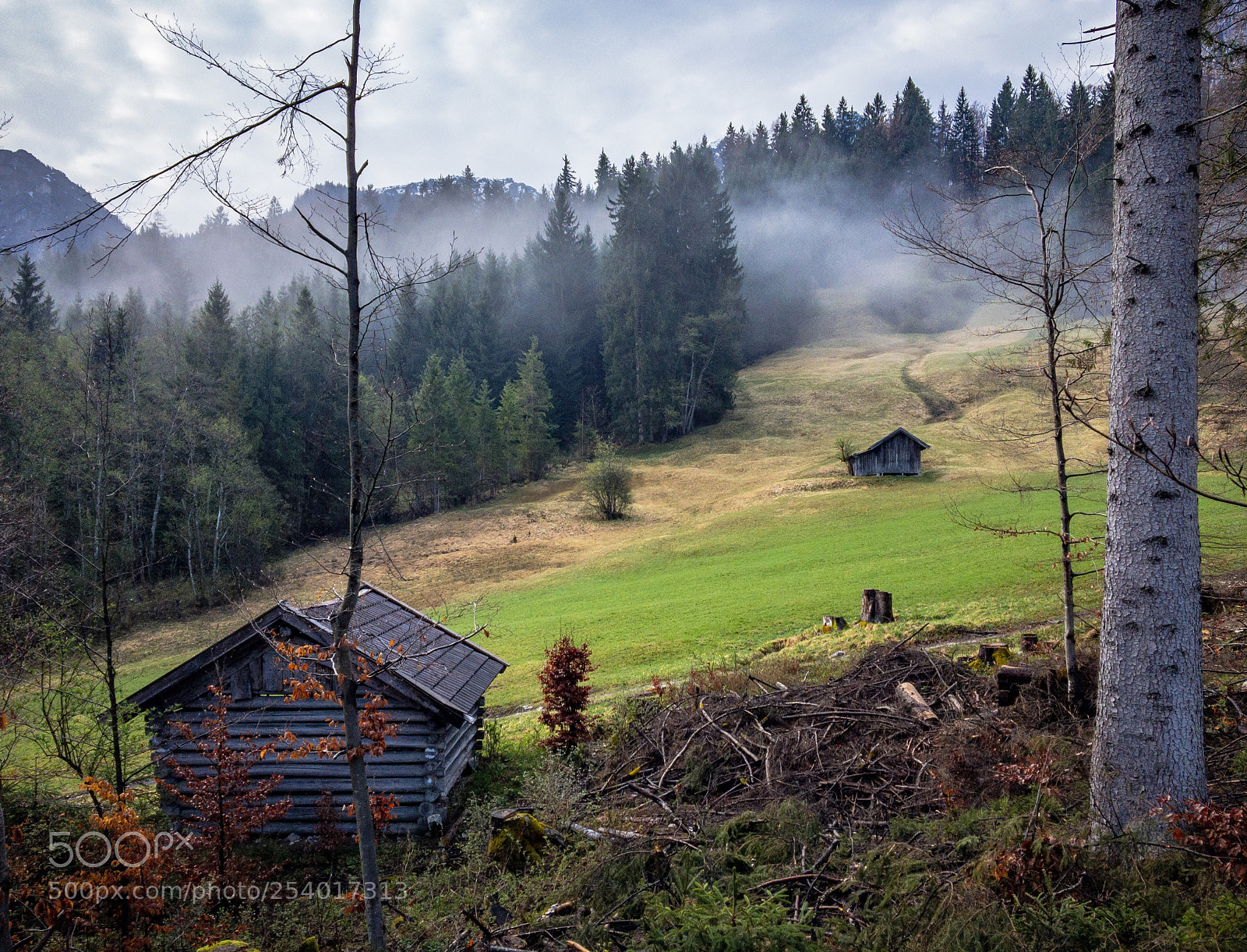 Apple iPhone 6s sample photo. Hammersbacher wiese
 photography