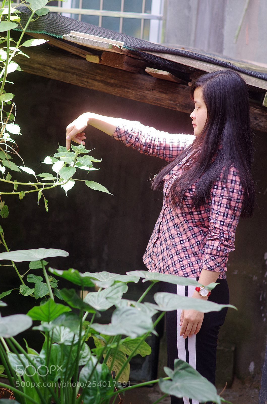 Pentax K-50 sample photo. Untitled photography