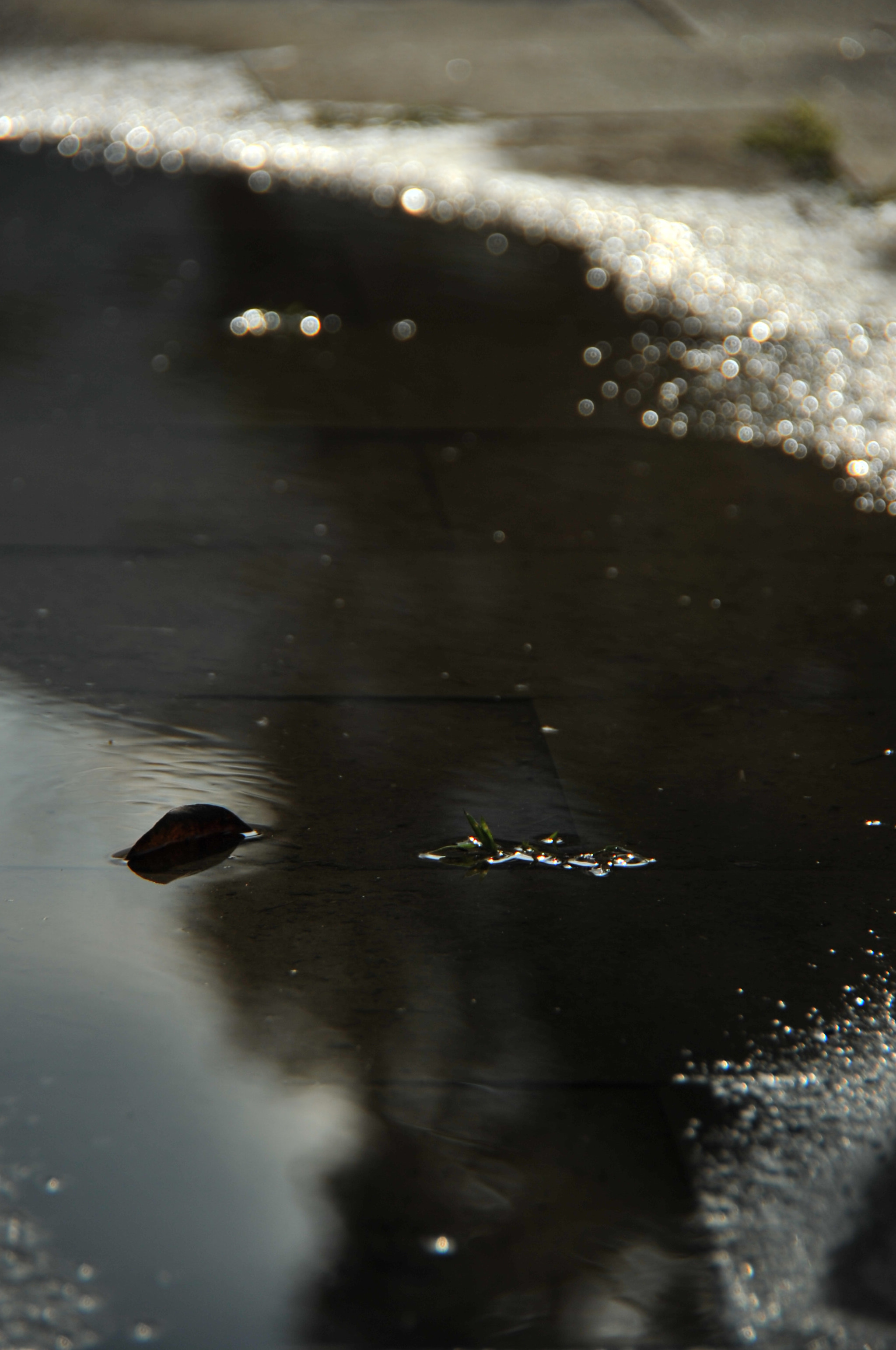 Nikon D3S sample photo. .. photography