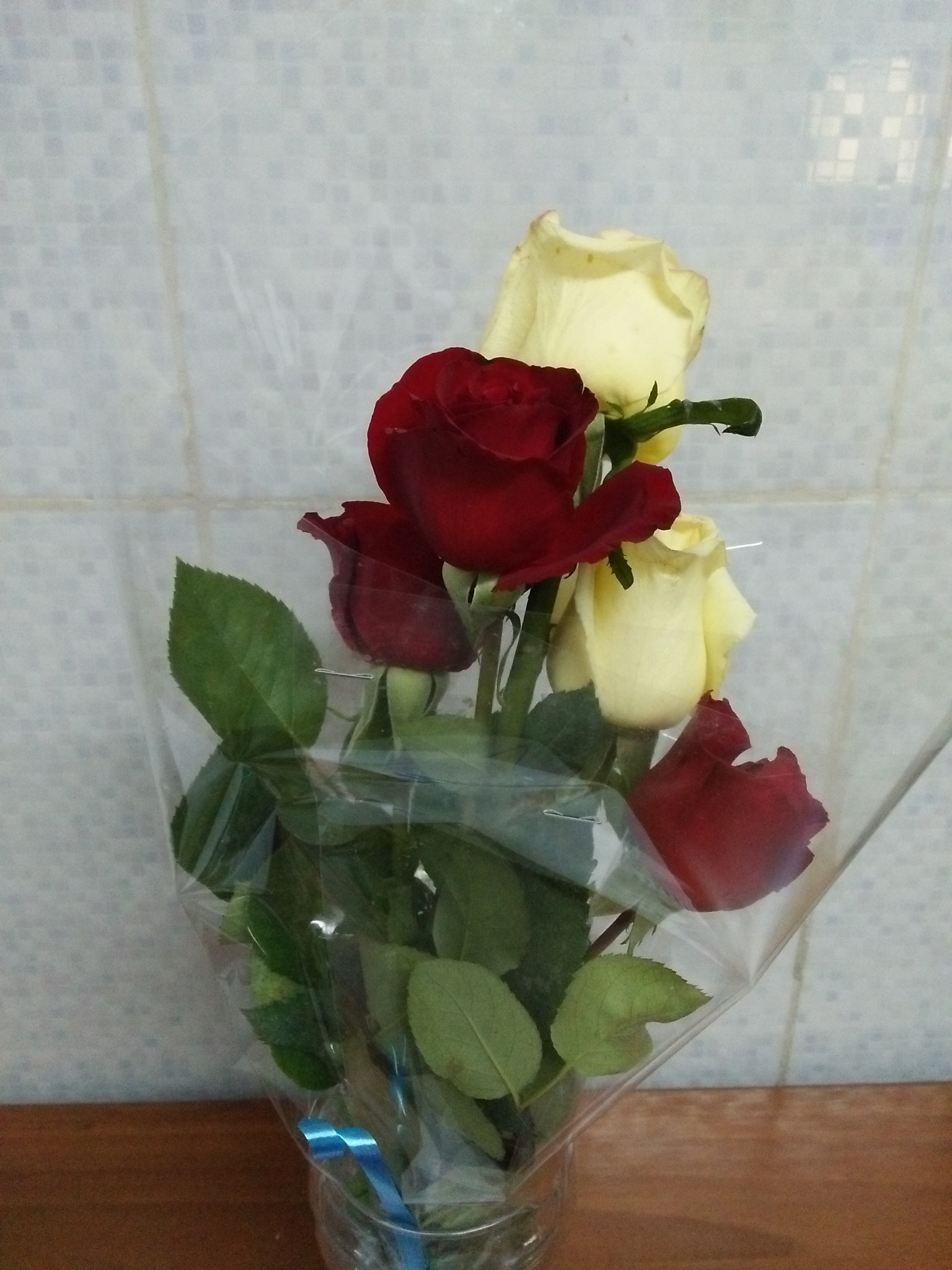 OPPO A37fw-International sample photo