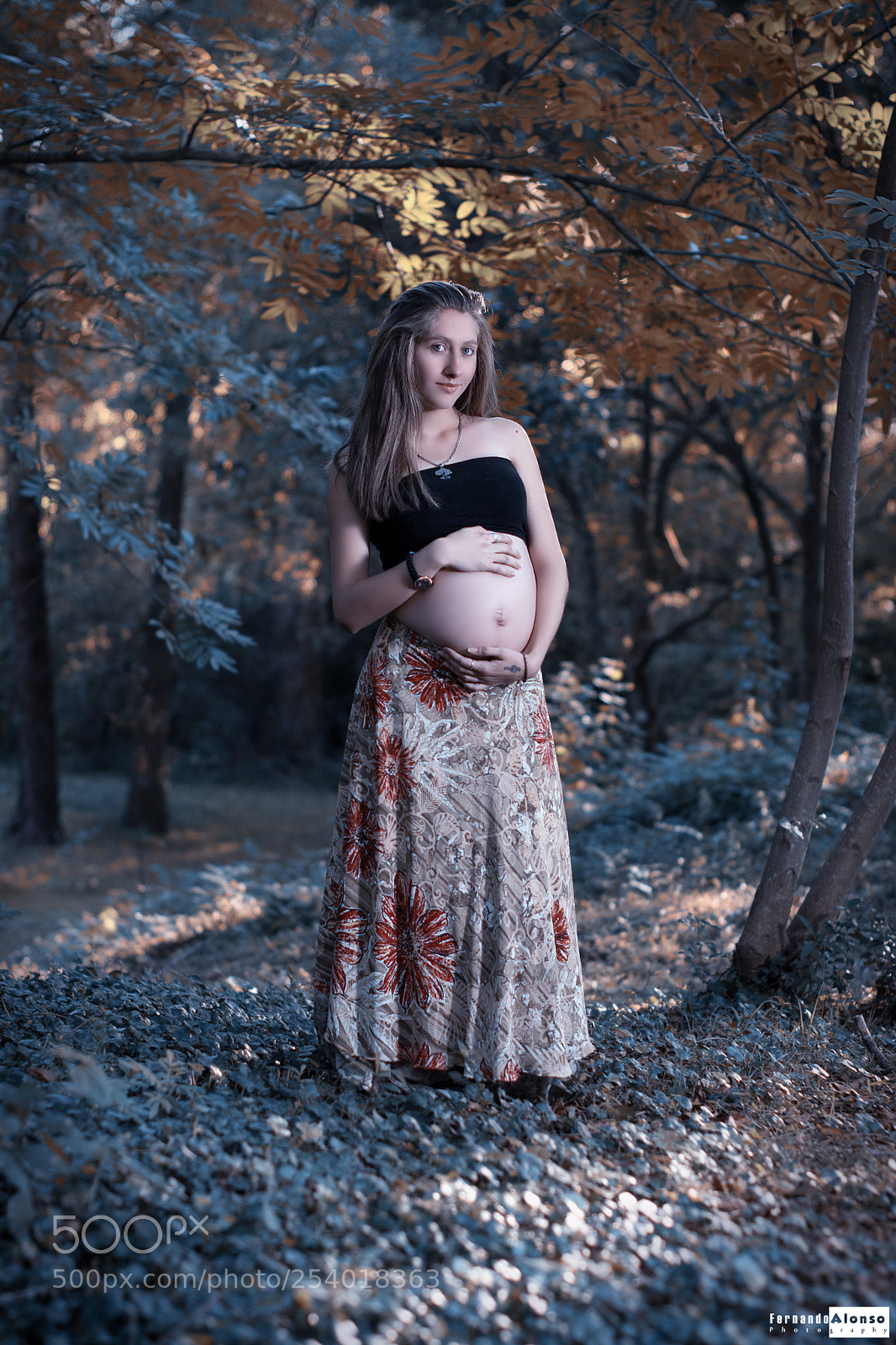 Nikon D7100 sample photo. Untitled photography