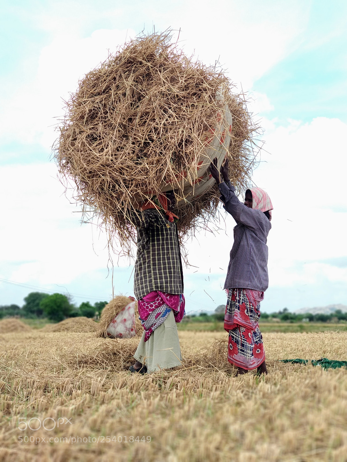 Xiaomi Mi A1 sample photo. ##farmer photography