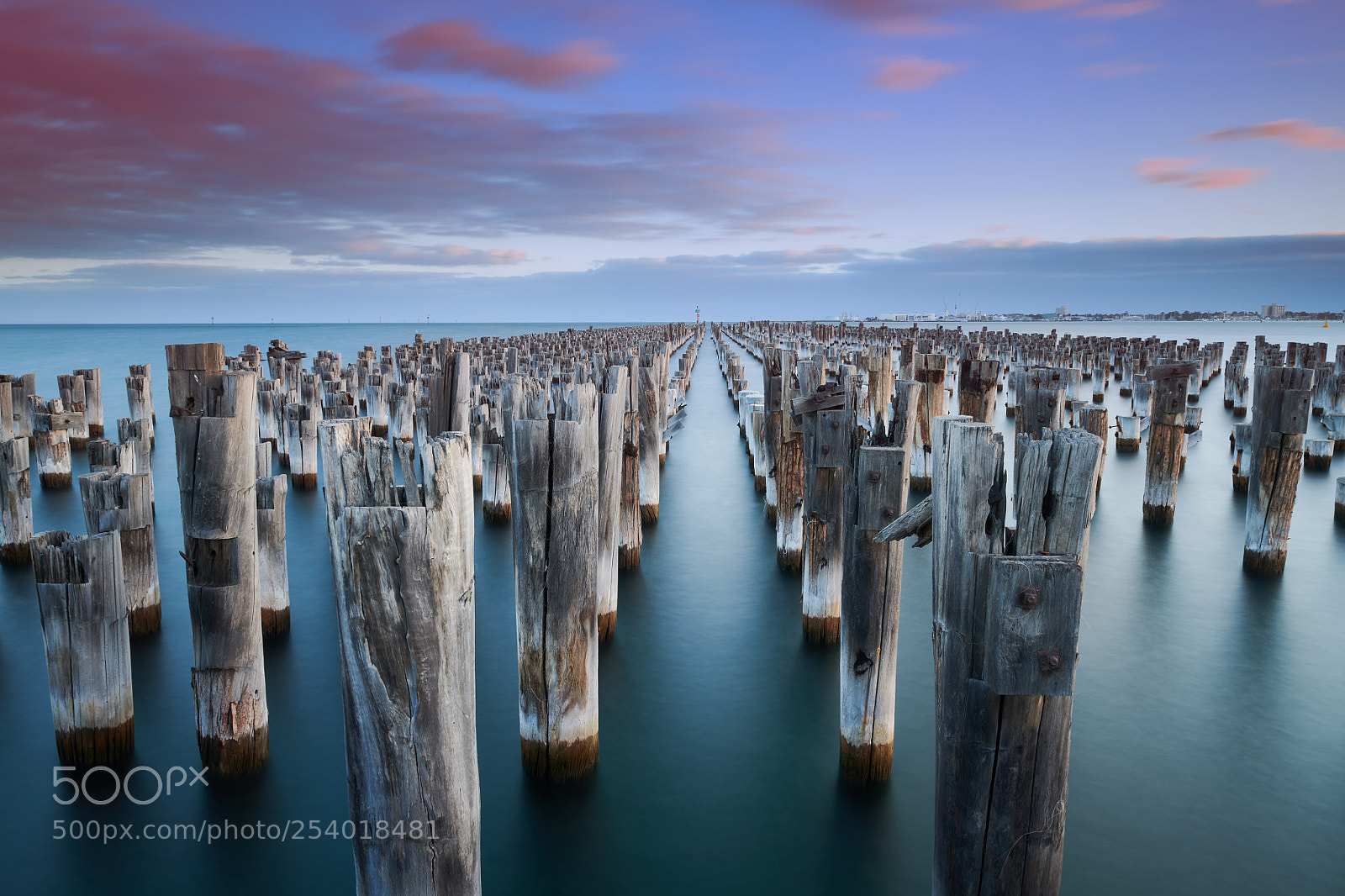 Nikon D850 sample photo. Princes pier photography