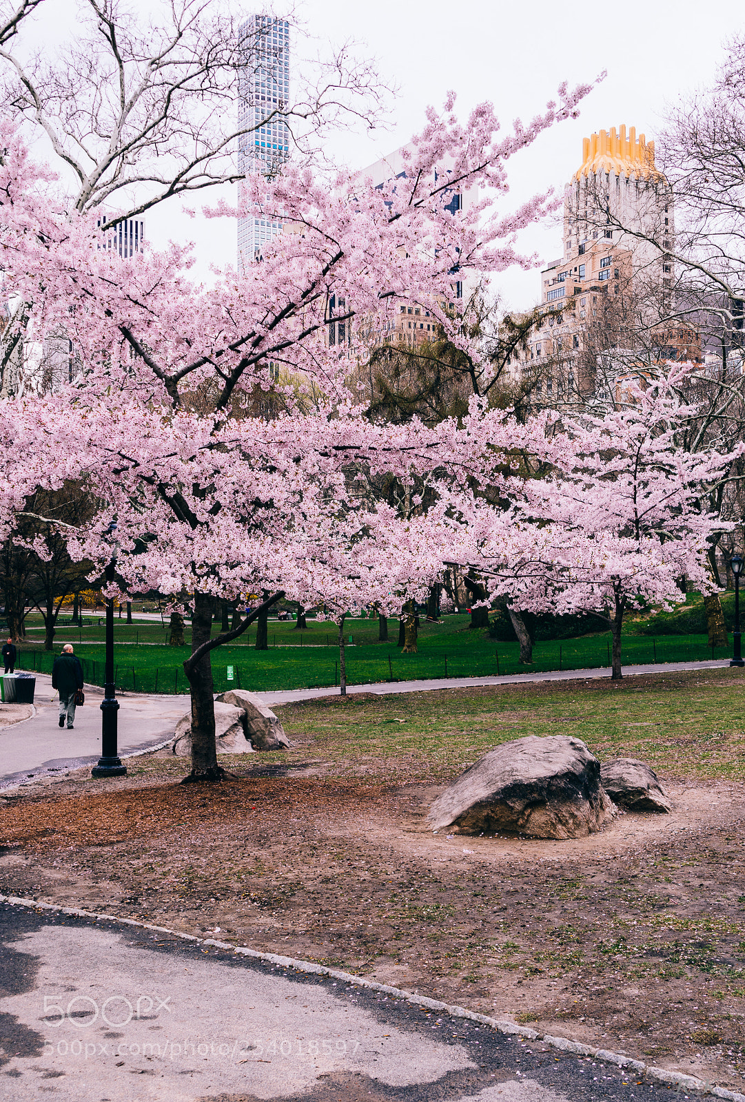 Sony a7R sample photo. As you think, so photography