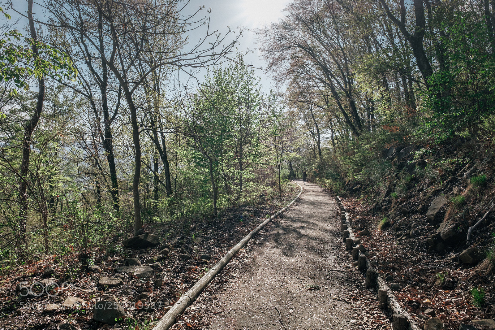 Fujifilm X-T2 sample photo. Fresh green photography