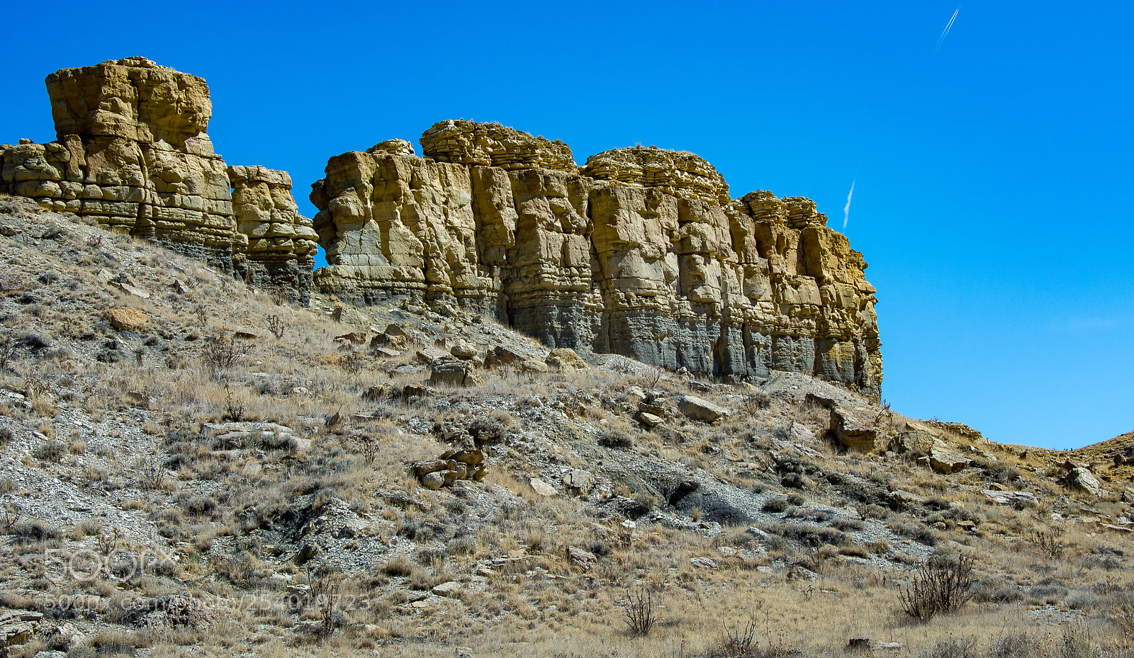 Nikon D7100 sample photo. Ancient survivors of the photography
