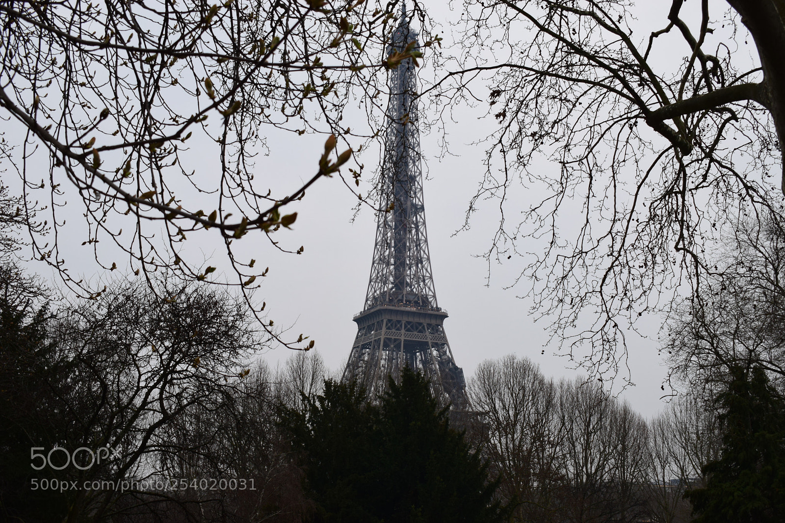 Nikon D3300 sample photo. Eiffel tower 1 photography