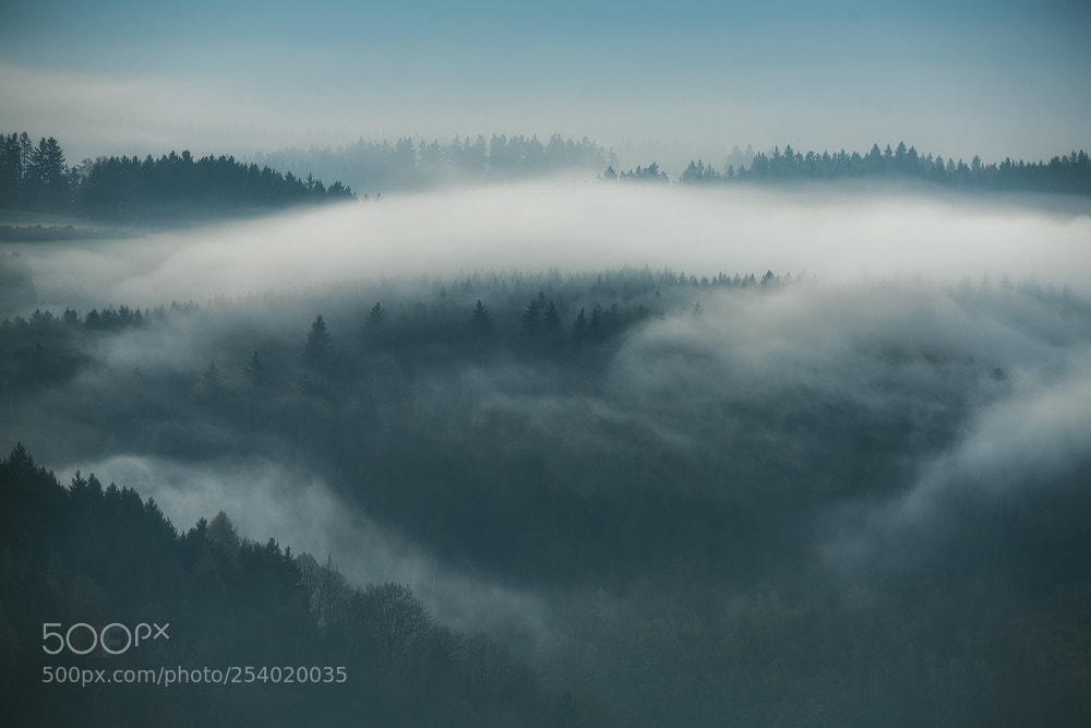 Nikon D850 sample photo. Spring fog photography