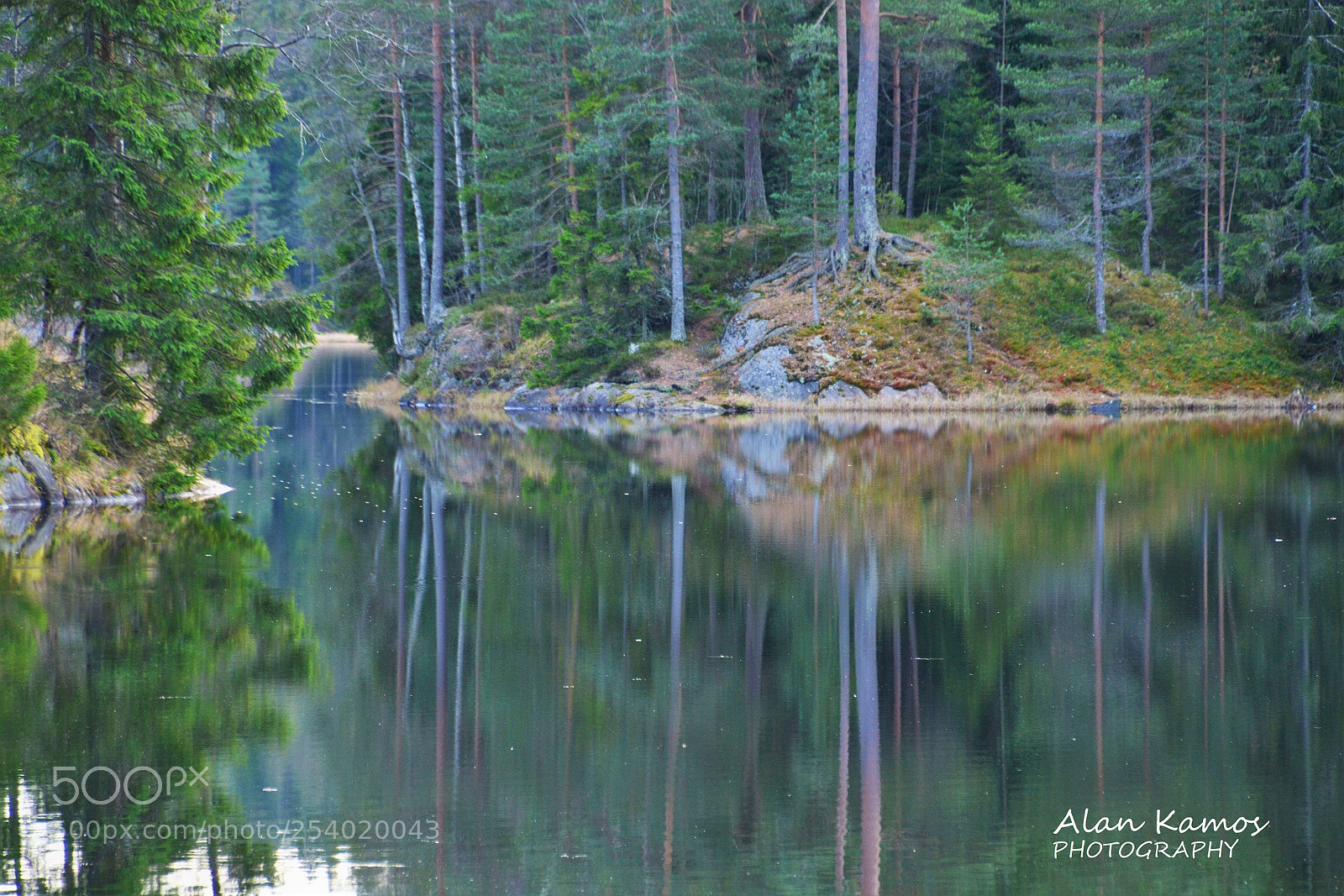 Nikon D5200 sample photo. Untitled photography