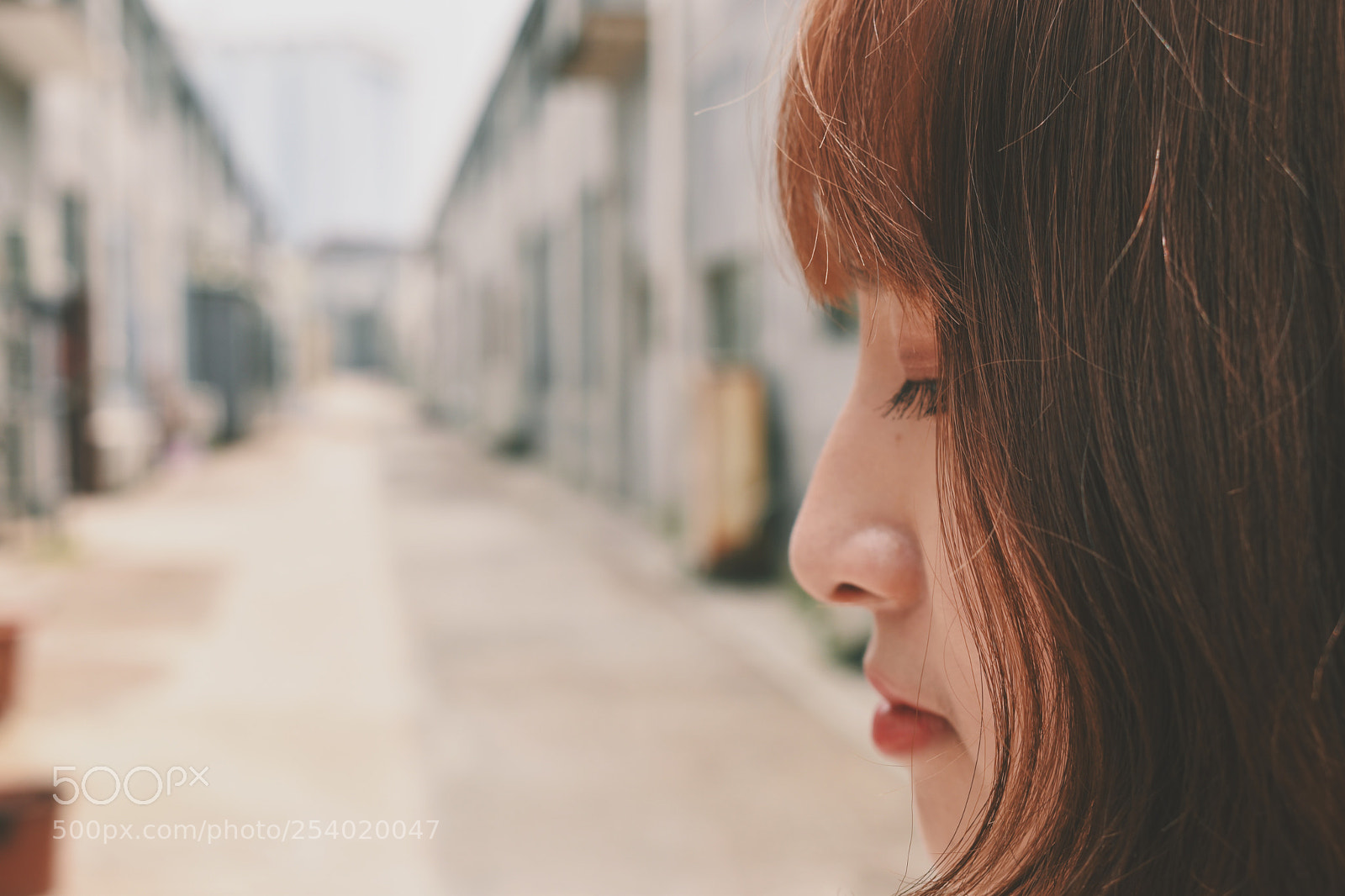 Nikon D5500 sample photo. Processed with vsco with photography