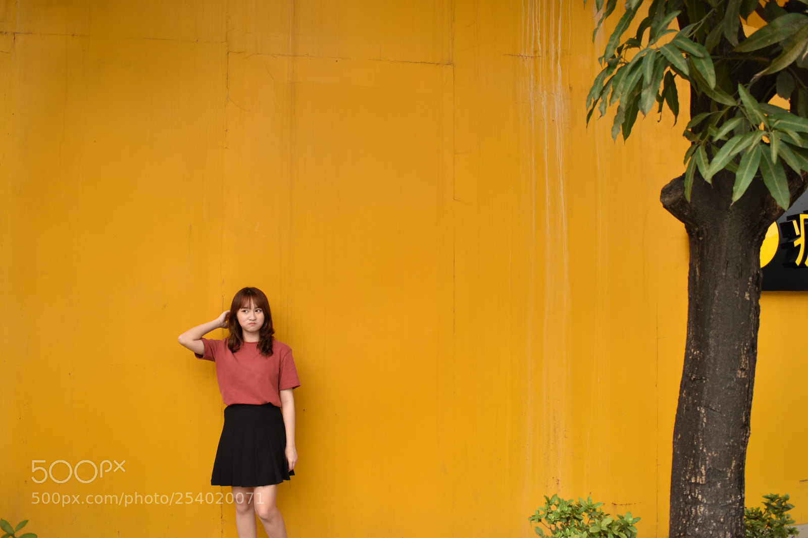 Nikon D5500 sample photo. 微信图片 photography