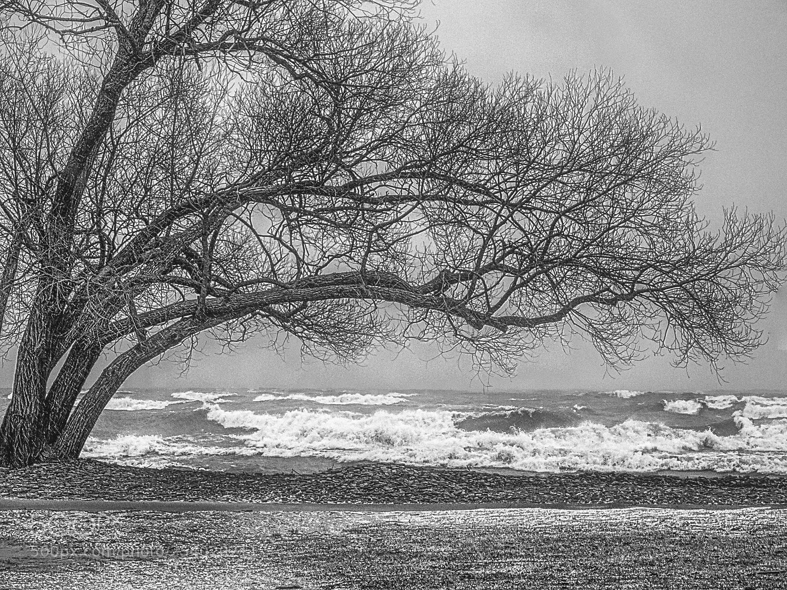 Nikon D7200 sample photo. Stormy weather photography