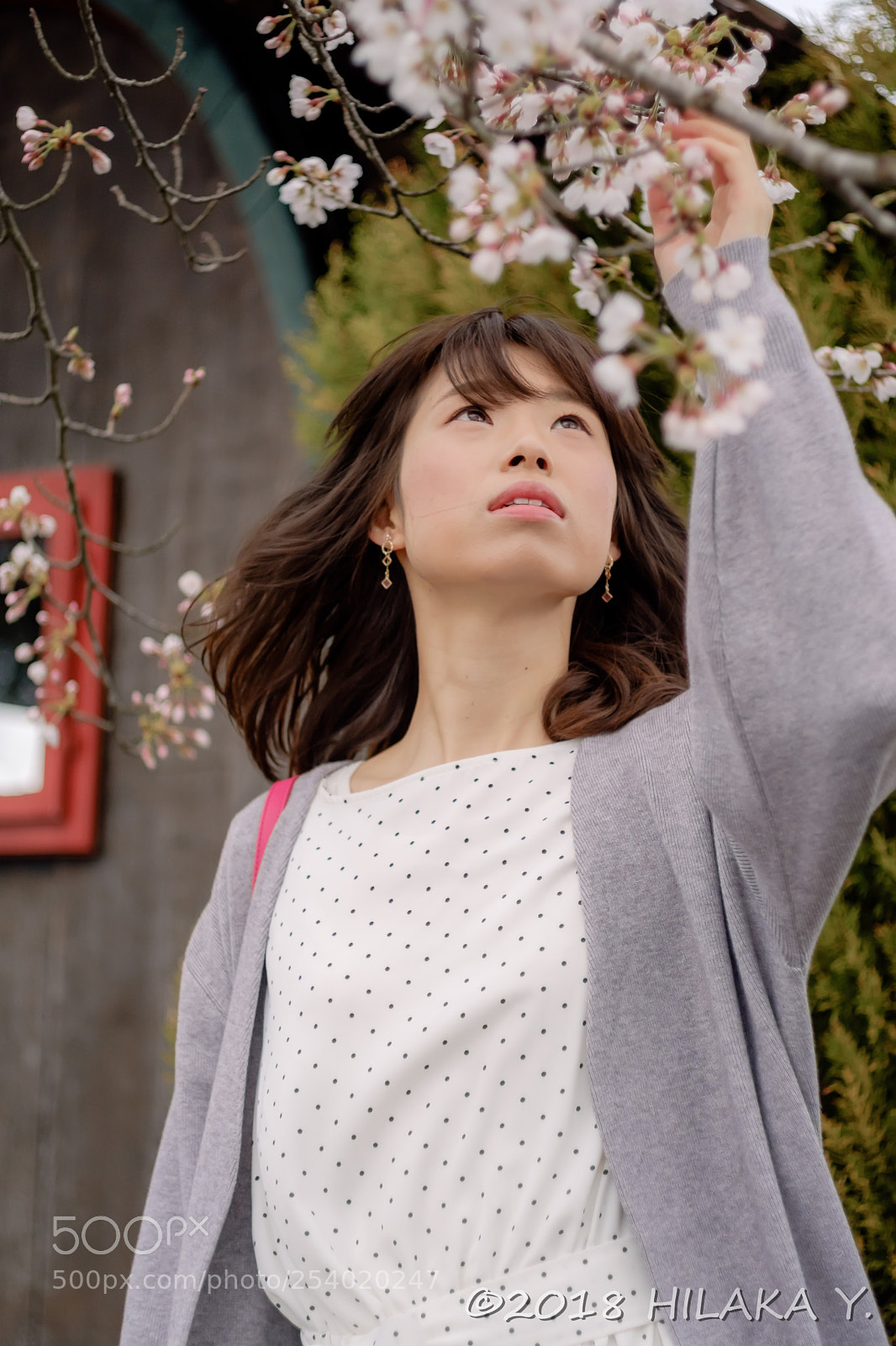 Fujifilm X-T20 sample photo. Dsf photography