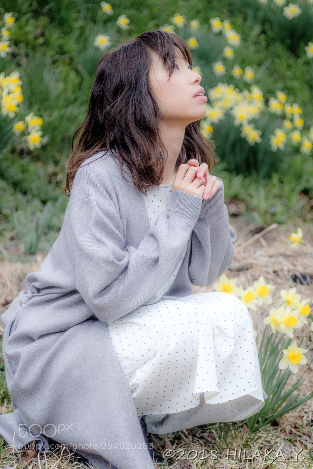 Fujifilm X-T20 sample photo. Dsf photography