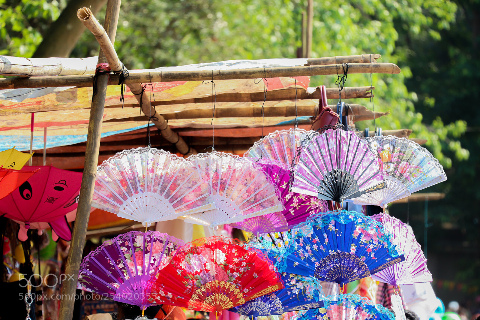 Canon EOS 77D (EOS 9000D / EOS 770D) sample photo. Color of bangla new photography