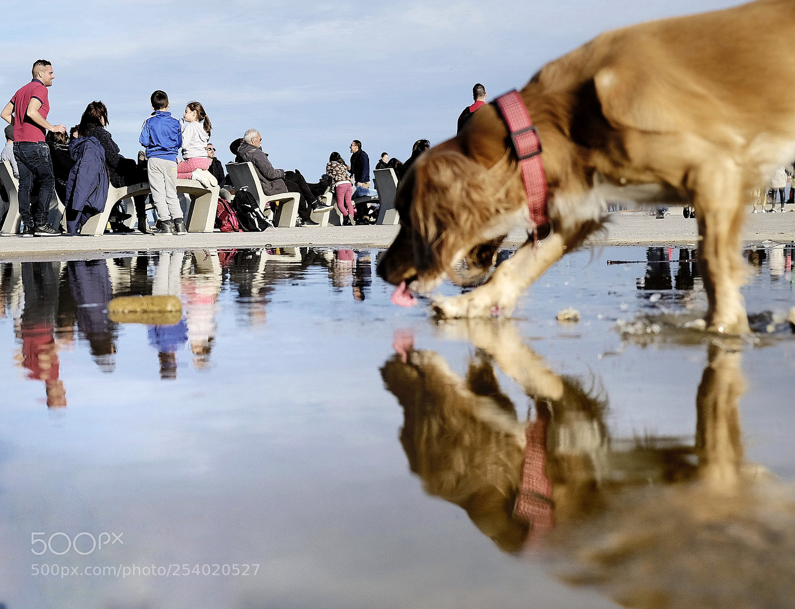 Fujifilm X-T1 sample photo. Untitled photography