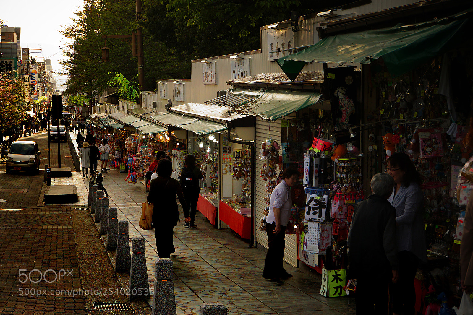 Sony a6000 sample photo. In nara photography