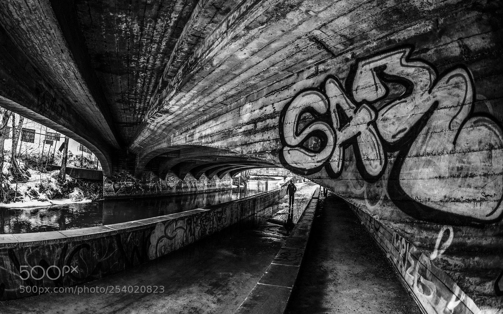 Nikon D800 sample photo. Beneath a bridge! photography