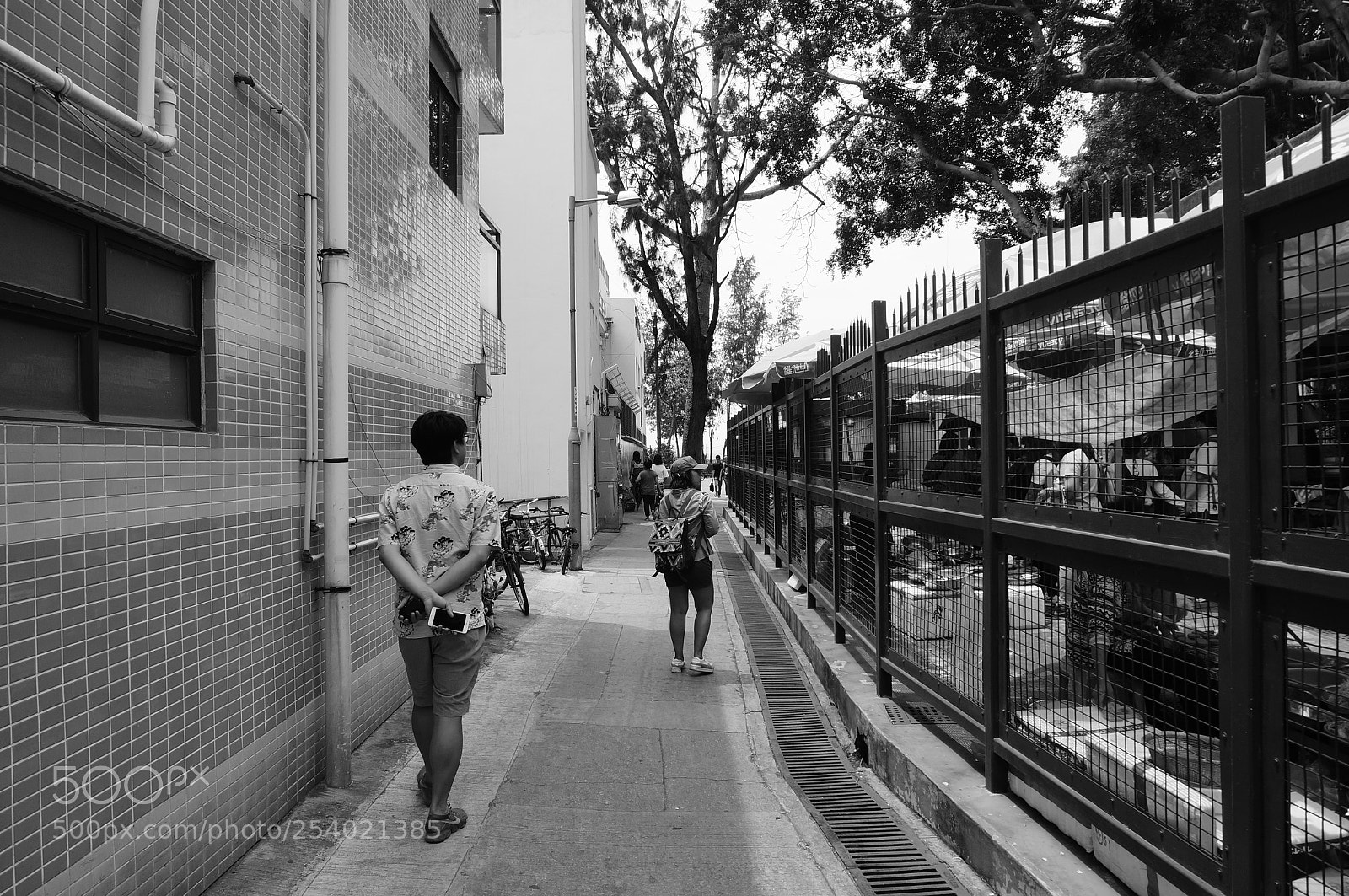 Sony Alpha NEX-6 sample photo. Dsc photography