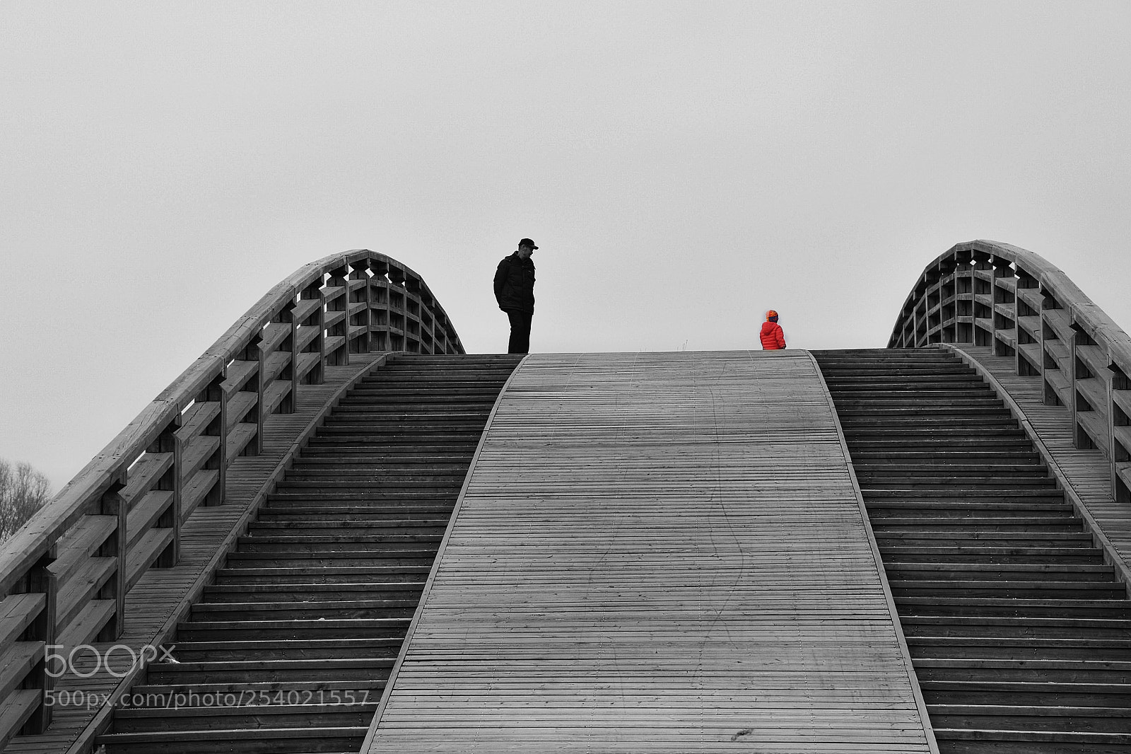 Nikon D800 sample photo. Red photography