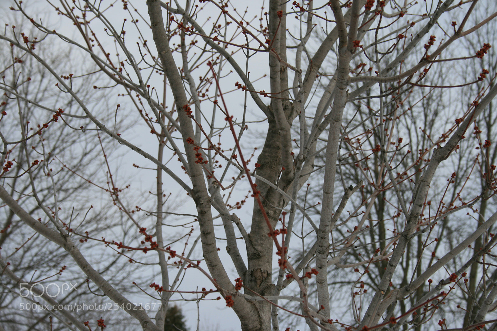 Canon EOS 400D (EOS Digital Rebel XTi / EOS Kiss Digital X) sample photo. New beginnings photography