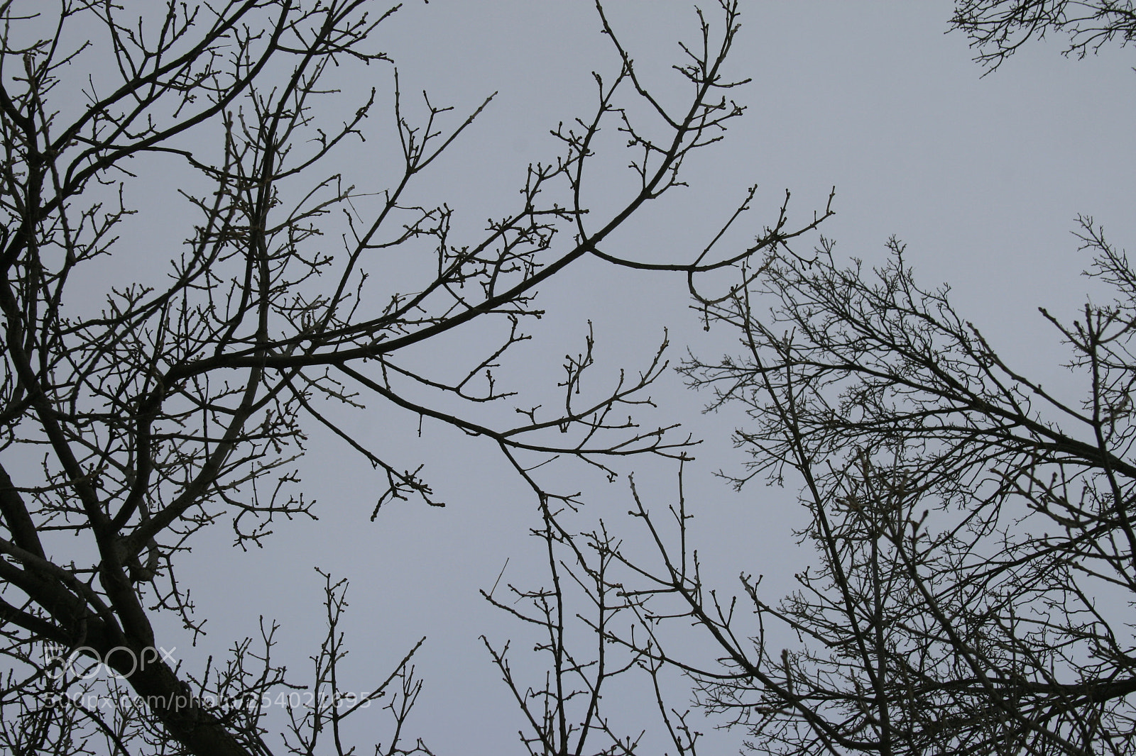 Canon EOS 400D (EOS Digital Rebel XTi / EOS Kiss Digital X) sample photo. Beautiful mess photography