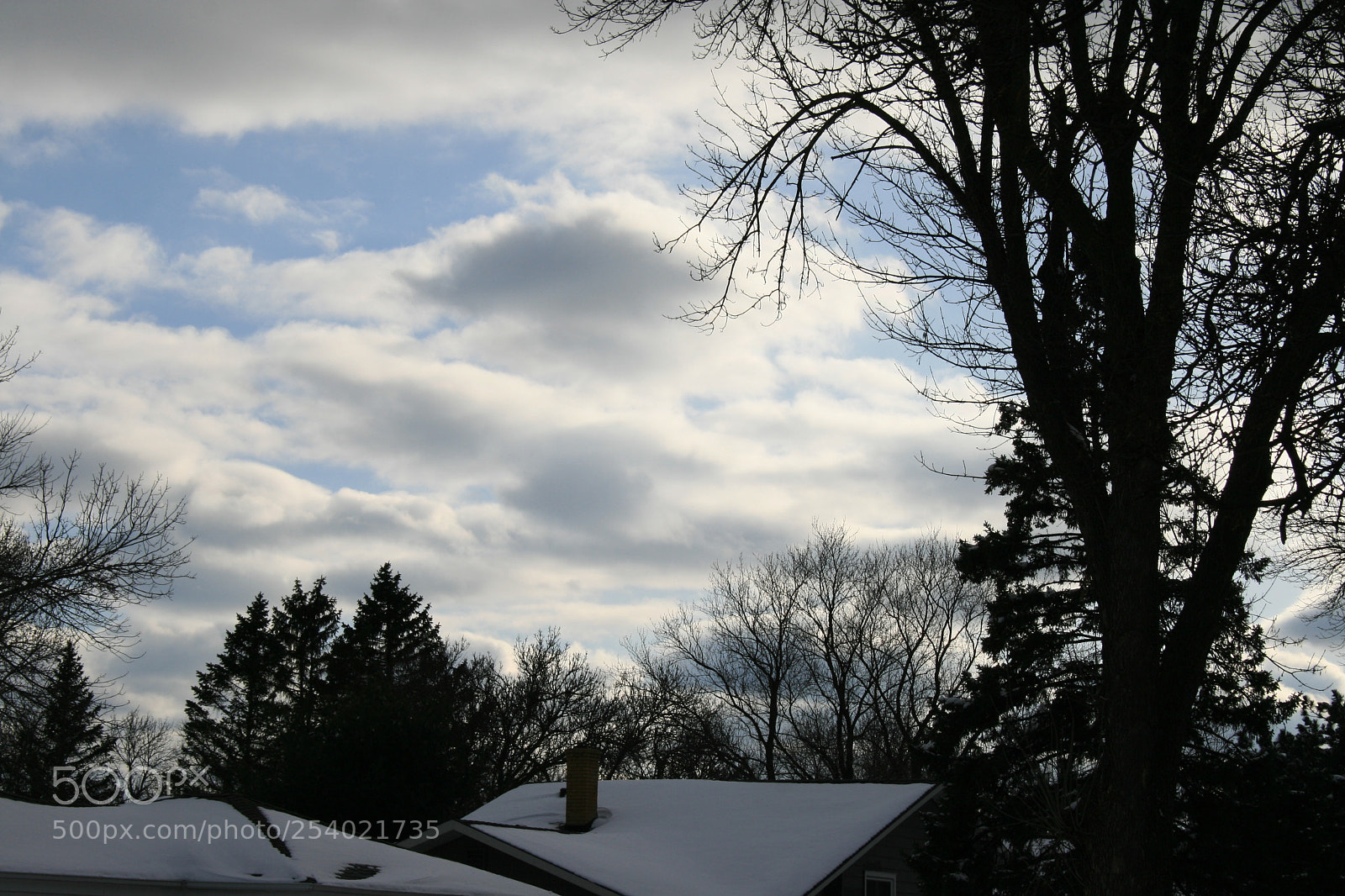 Canon EOS 400D (EOS Digital Rebel XTi / EOS Kiss Digital X) sample photo. Light sky, dark trees photography