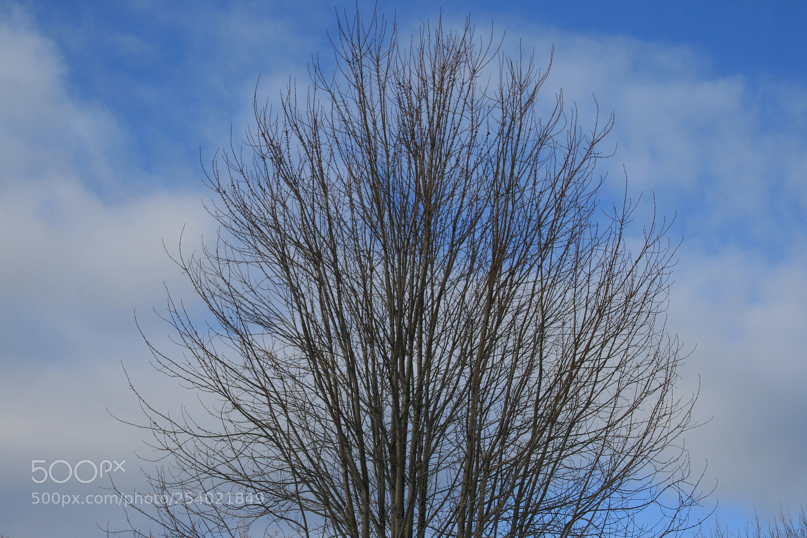Canon EOS 400D (EOS Digital Rebel XTi / EOS Kiss Digital X) sample photo. Reaching for something good photography