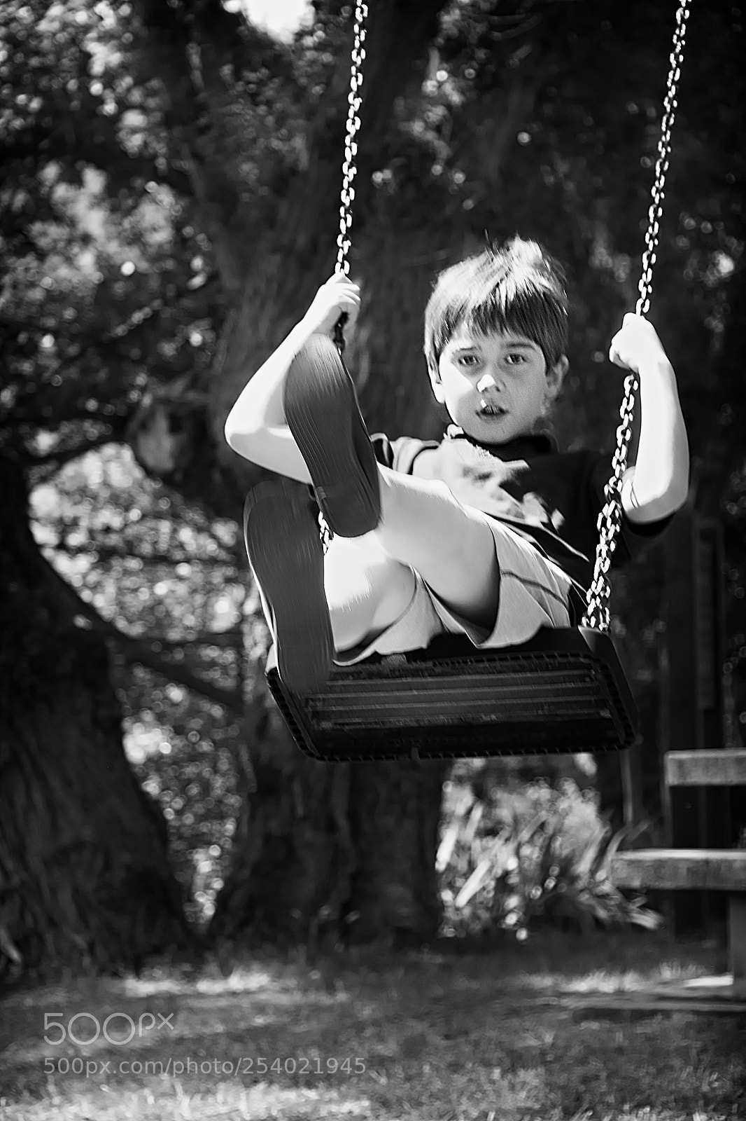 Canon EOS 70D sample photo. Swing photography