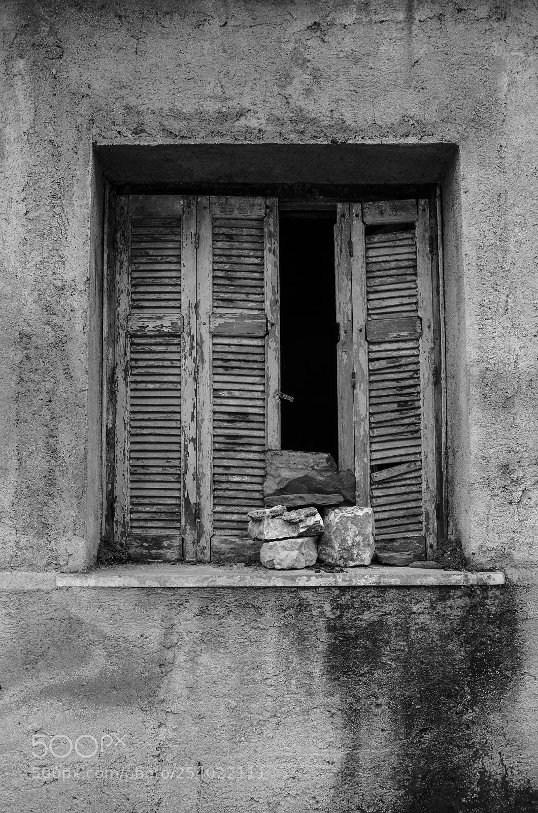 Nikon D7000 sample photo. A window of opportunity photography