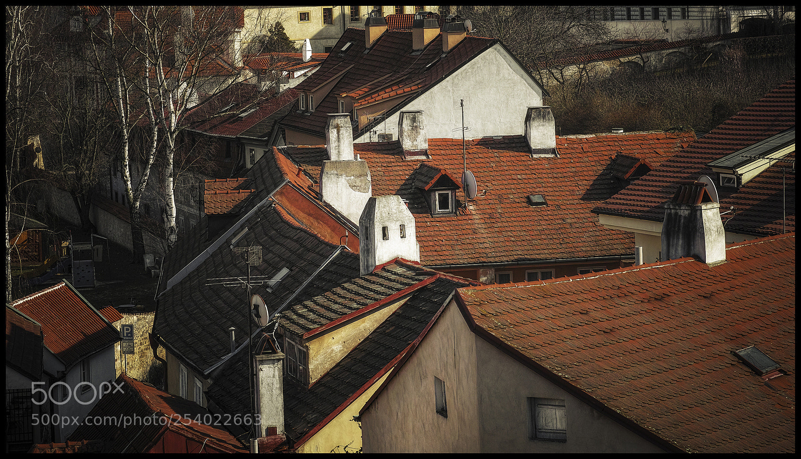 Sigma DP3 Merrill sample photo. Prague roofs photography