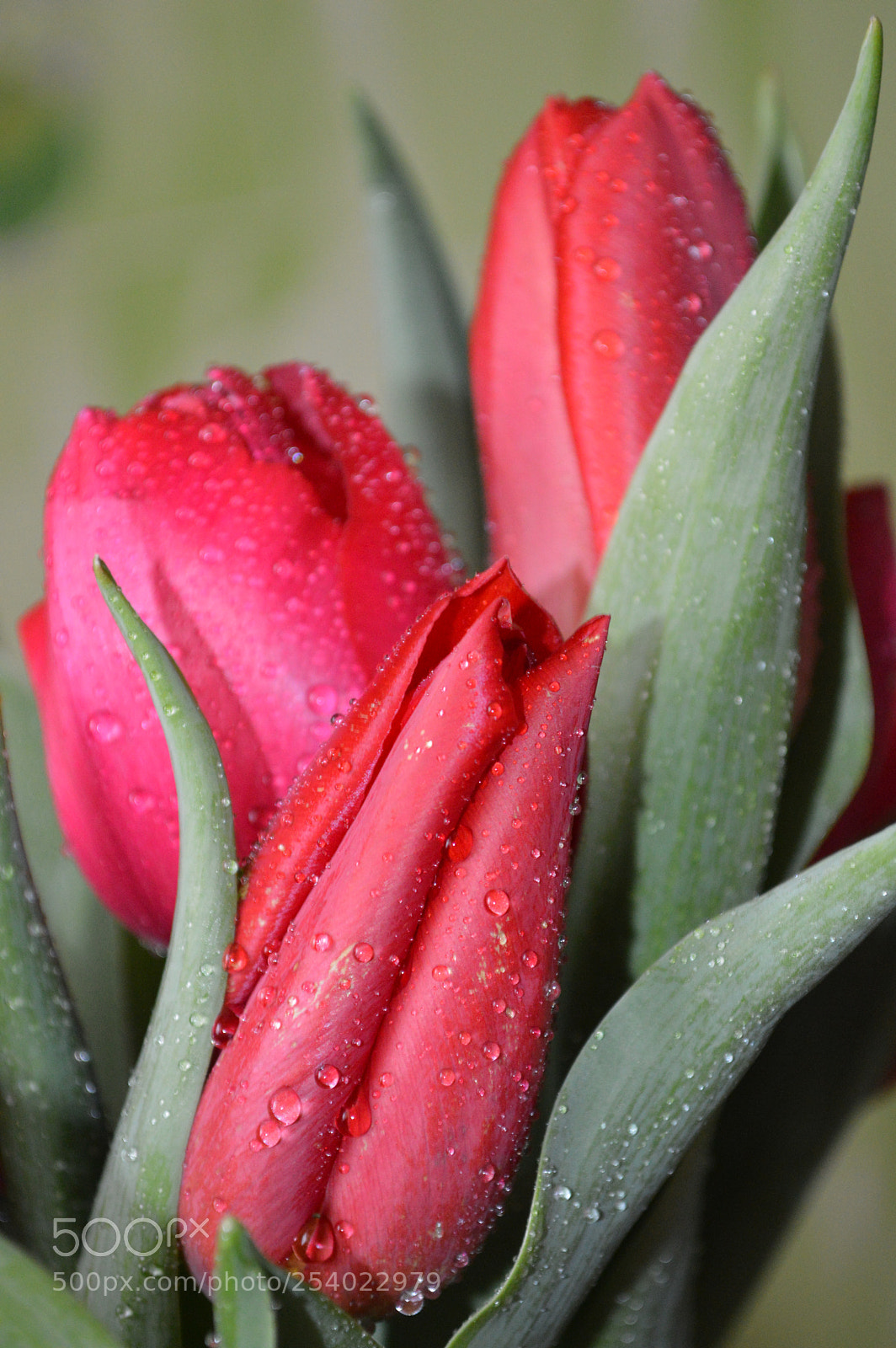 Nikon D3200 sample photo. Dsc photography