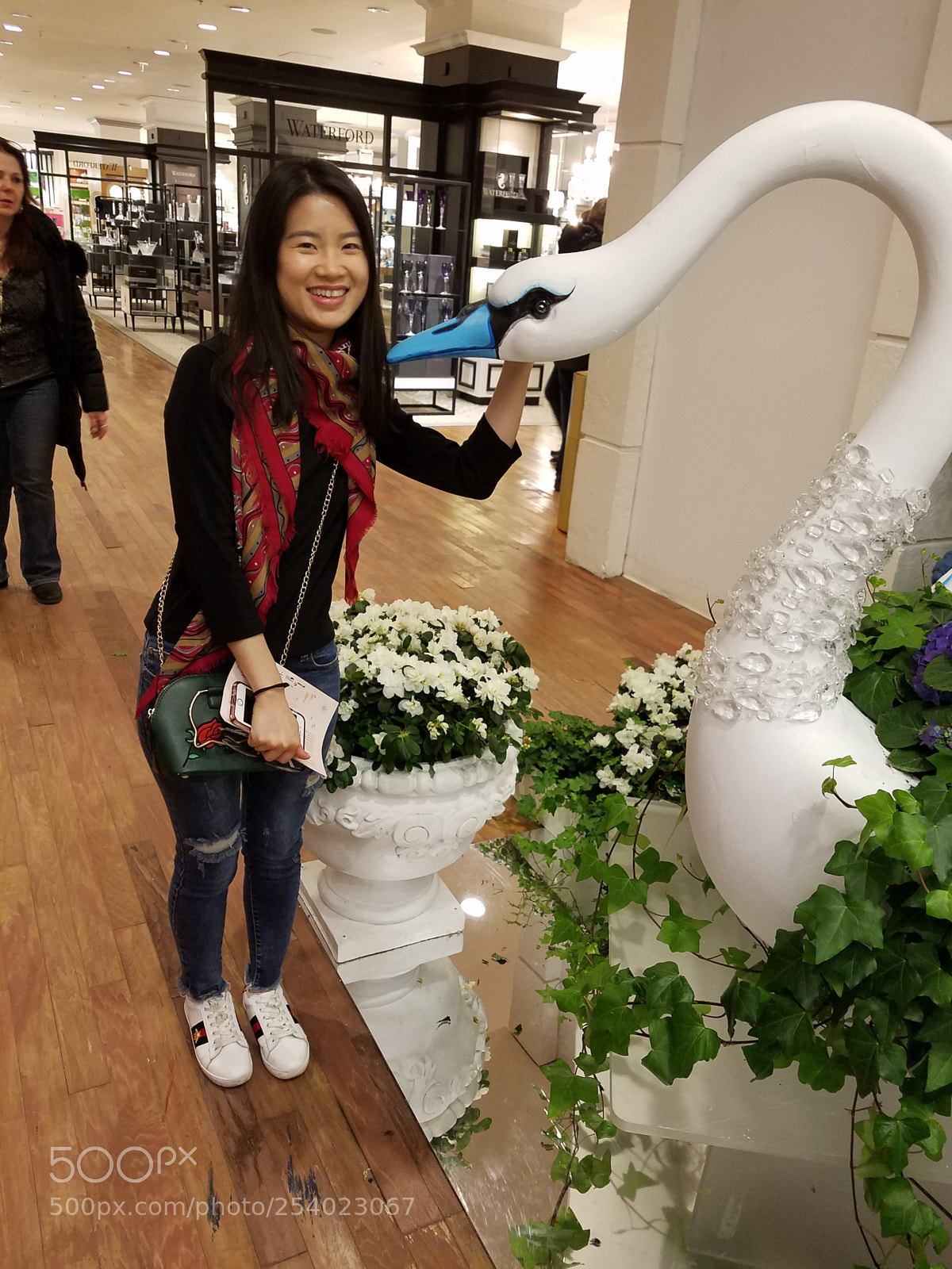 Samsung Galaxy S7 sample photo. Asian girl petting swan.jpg photography
