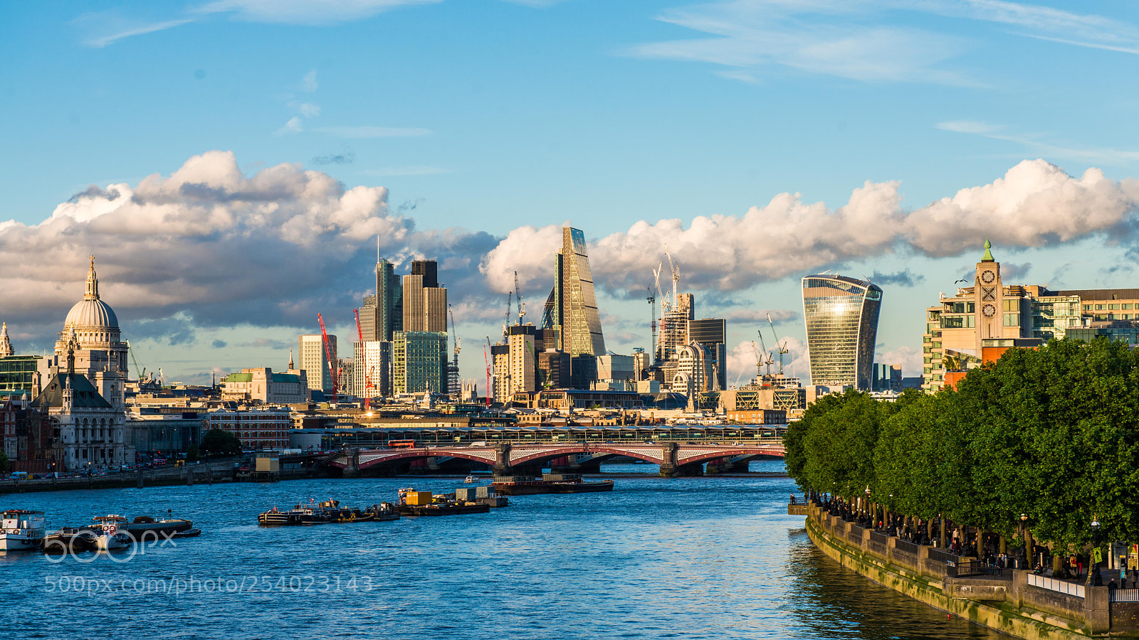 Nikon D800 sample photo. Shiny london is back photography