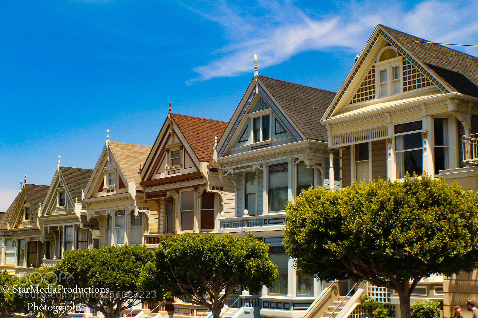 Canon EOS 700D (EOS Rebel T5i / EOS Kiss X7i) sample photo. Painted ladies photography