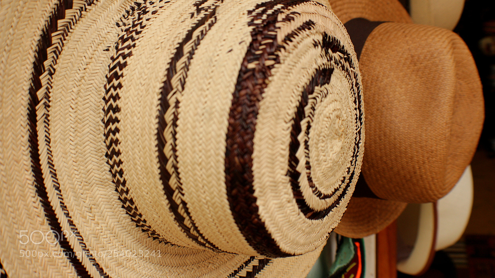 Canon EOS 700D (EOS Rebel T5i / EOS Kiss X7i) sample photo. Img photography