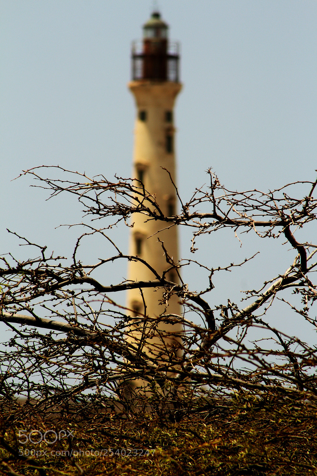 Canon EOS 700D (EOS Rebel T5i / EOS Kiss X7i) sample photo. Img photography