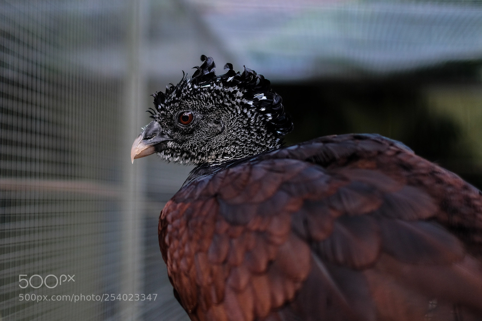 Fujifilm X-E3 sample photo. Portrait photography